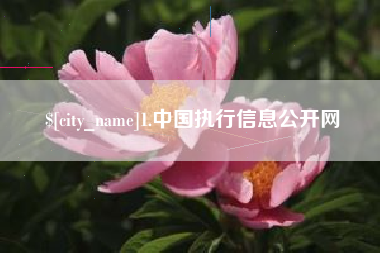 日土1.中国执行信息公开网