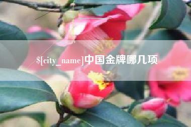 日土中国金牌哪几项