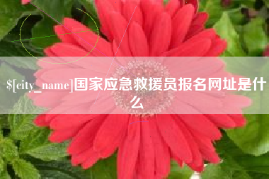 日土国家应急救援员报名网址是什么