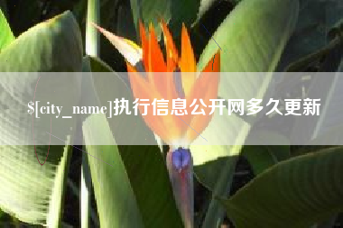 日土执行信息公开网多久更新