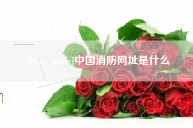 日土中国消防网址是什么