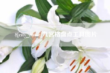 日土九宫格盘点工具图片