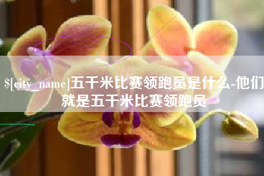 日土五千米比赛领跑员是什么-他们就是五千米比赛领跑员