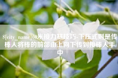 日土60米接力赛技巧-下压式则是传棒人将棒的前部由上向下传到接棒人手中
