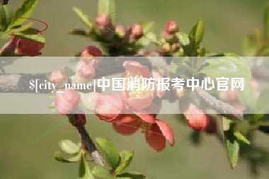 日土中国消防报考中心官网
