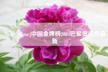 日土中国金牌榜2024巴黎奥运会最新