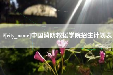 日土中国消防救援学院招生计划表