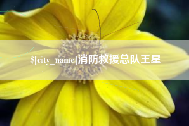 日土消防救援总队王星