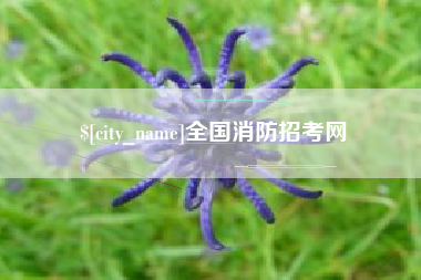日土全国消防招考网