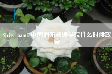 日土中国消防救援学院什么时候政审