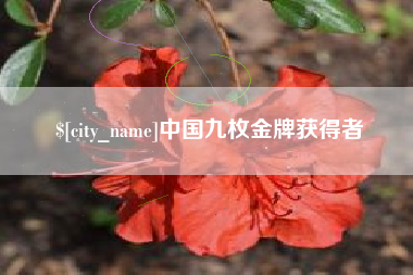 日土中国九枚金牌获得者