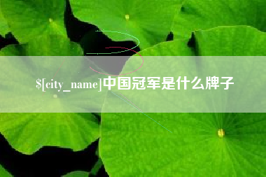 日土中国冠军是什么牌子