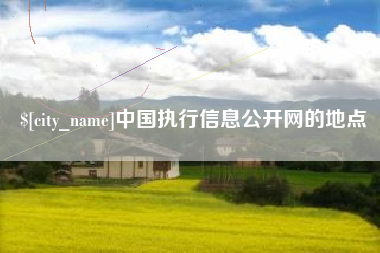 日土中国执行信息公开网的地点