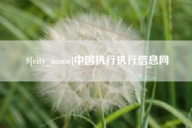 日土中国执行执行信息网