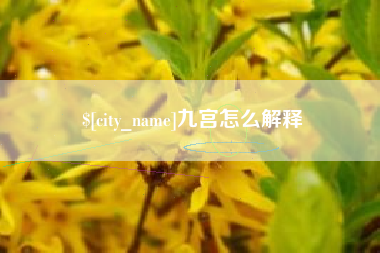 日土九宫怎么解释