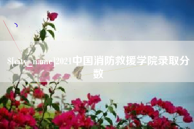 日土2021中国消防救援学院录取分数
