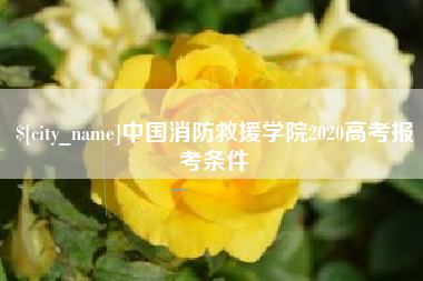 日土中国消防救援学院2020高考报考条件
