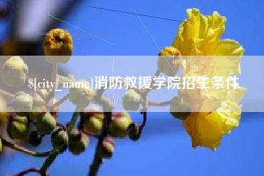 日土消防救援学院招生条件