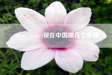 日土现在中国哪几个金牌