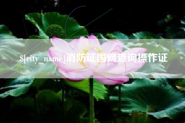 日土消防证国网查询操作证