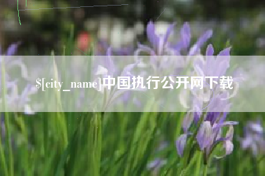 日土中国执行公开网下载