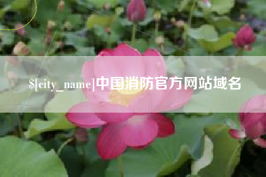 日土中国消防官方网站域名