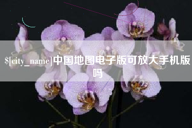 日土中国地图电子版可放大手机版吗