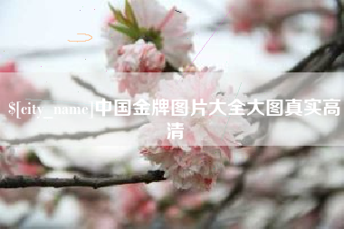 日土中国金牌图片大全大图真实高清