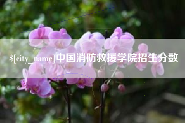 日土中国消防救援学院招生分数