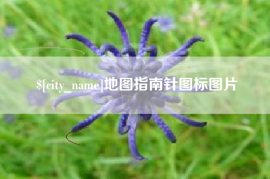 日土地图指南针图标图片