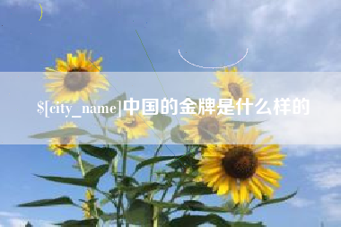 日土中国的金牌是什么样的