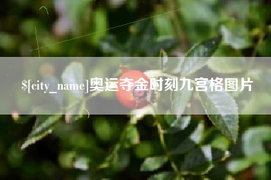 日土奥运夺金时刻九宫格图片