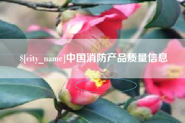 日土中国消防产品质量信息