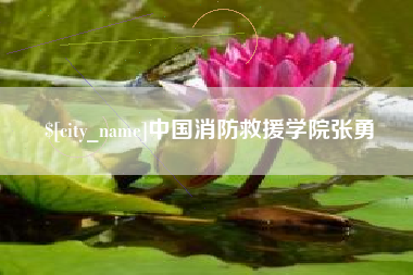 日土中国消防救援学院张勇