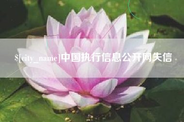 日土中国执行信息公开网失信