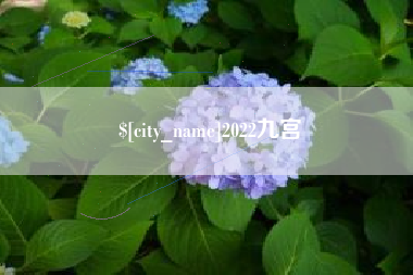 日土2022九宫