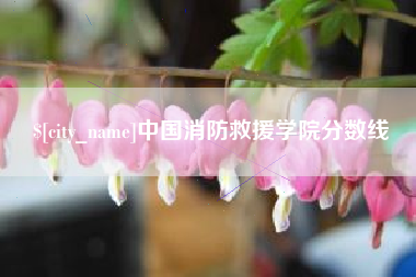 日土中国消防救援学院分数线