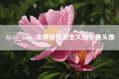 日土金牌图片大全大图卡通头像
