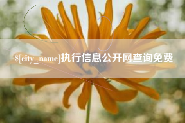 日土执行信息公开网查询免费