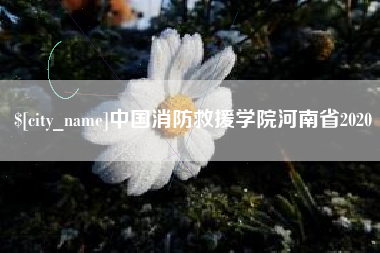 日土中国消防救援学院河南省2020
